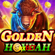 Premium Interface qxbet